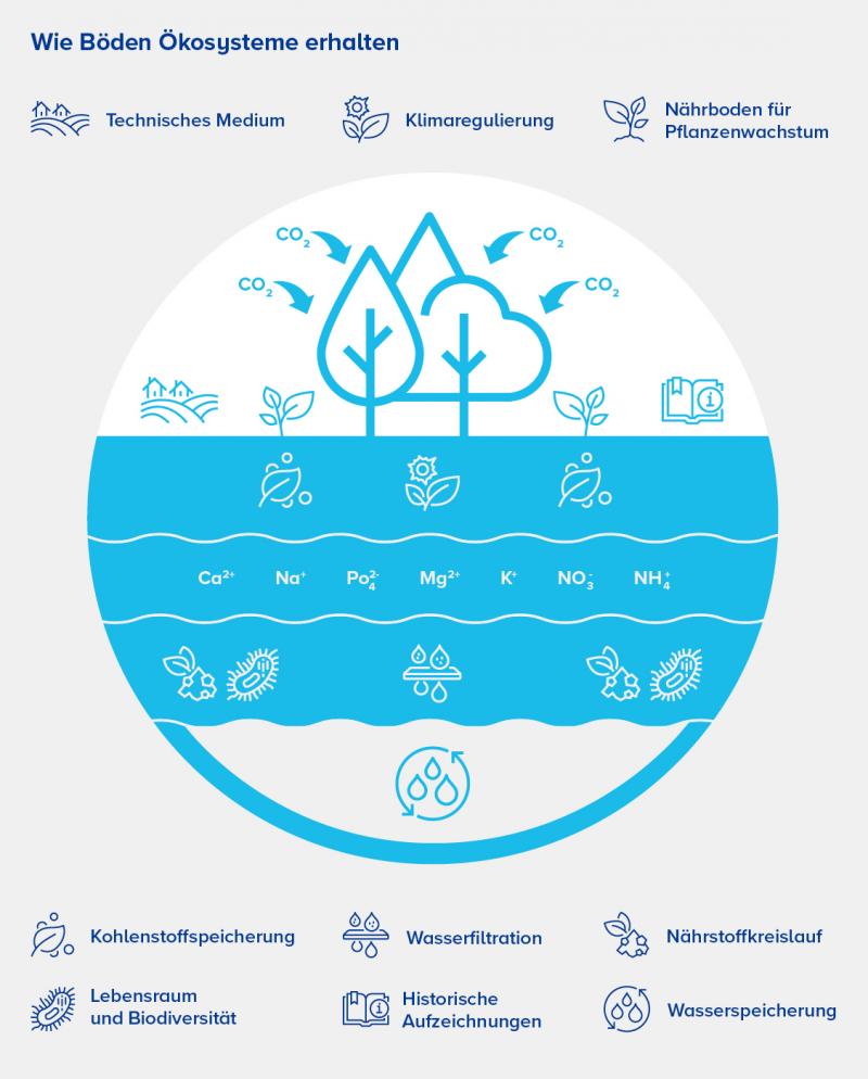 soil sustains ecosystem