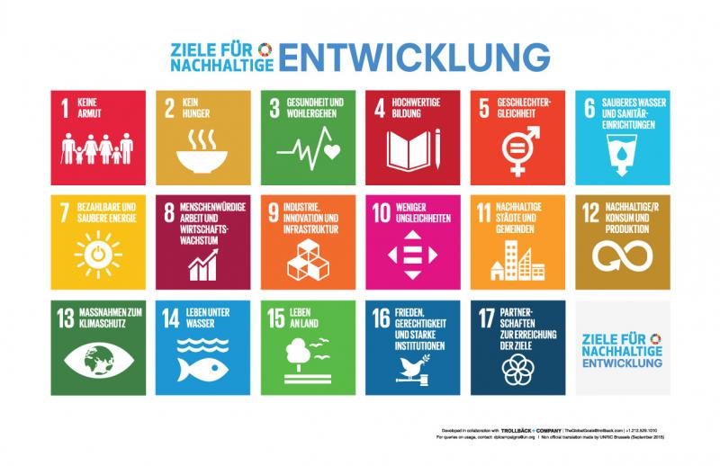 sdg poster