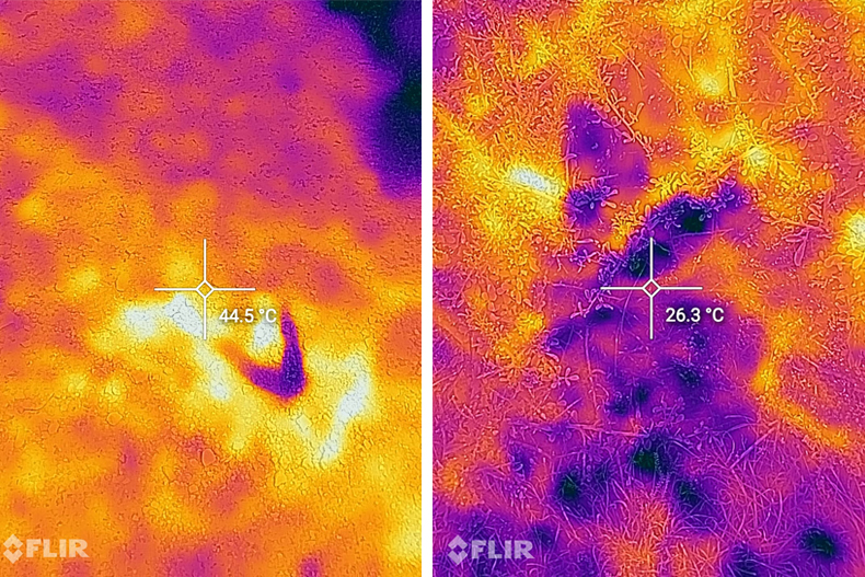 surface oil temperature reduced