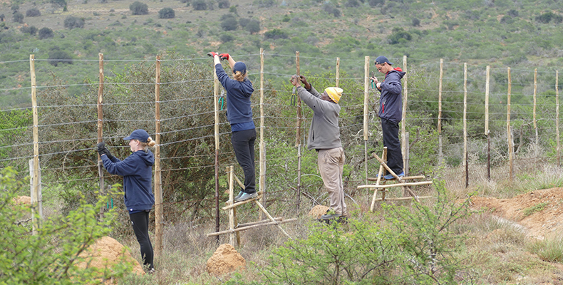 fencing with experts
