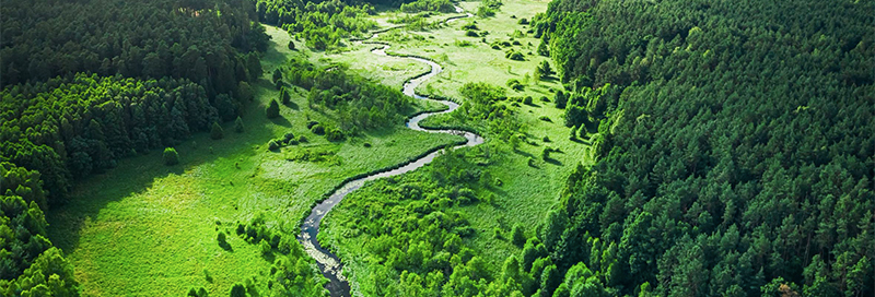 outlook 2023 landscape