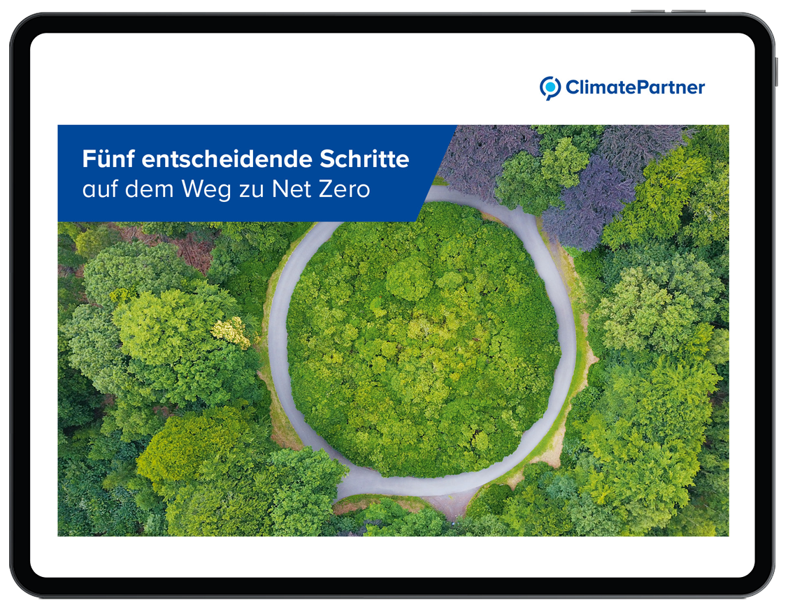 E-Book: Emissionsfaktoren