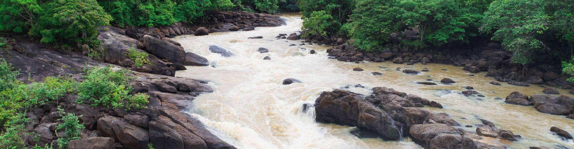 Tropical river