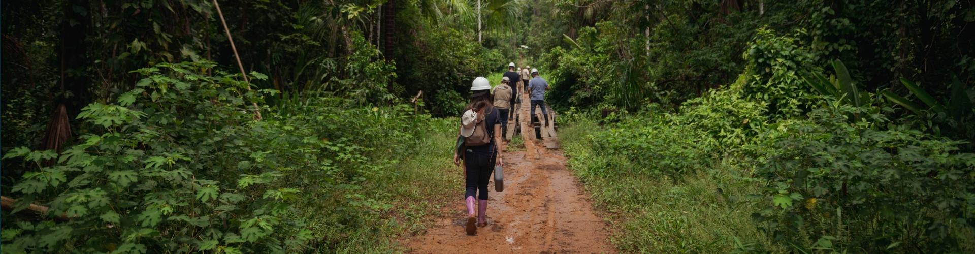 People walking through rainforest