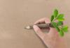 Stift_Holz_Hand_109829717.jpg