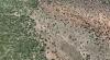 Spekboom-plantation-SouthAfrica-Project-hero.jpg