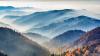 shutterstock_1212988969_new.jpg