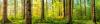 shutterstock_793178977.jpeg