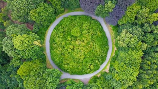 circle path