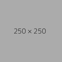 250x250.png